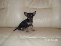 /album/fotogaleria/c-jpg/