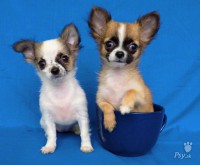 /album/fotogaleria/ci-jpg/