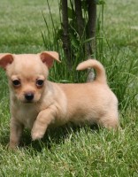 /album/fotogaleria/c-jpg1/