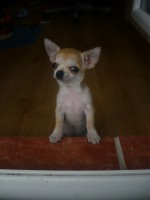 /album/fotogaleria/p1060672-jpg/