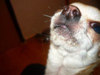 /album/fotogaleria/a296689-309784765702326-100000124161699-1438613-1604920443-n-jpg/