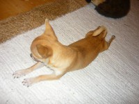 /album/fotogaleria/a299079-309784685702334-100000124161699-1438609-1631463446-n-jpg/