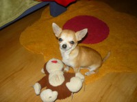 /album/fotogaleria/a308664-309784839035652-100000124161699-1438617-1905263066-n-jpg/